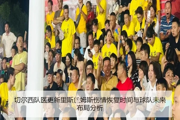 切尔西队医更新里斯詹姆斯伤情恢复时间与球队未来布局分析