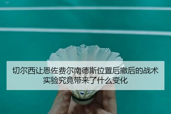 qie-er-xi-rang-en-zuo-fei-er-nan-de-si-wei-zhi-hou-che-hou-de-zhan-shu-shi-yan-jiu-jing-dai-lai-le-shen-me-bian-hua-2-655.jpg