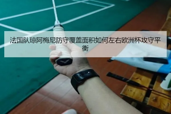 法国队琼阿梅尼防守覆盖面积如何左右欧洲杯攻守平衡